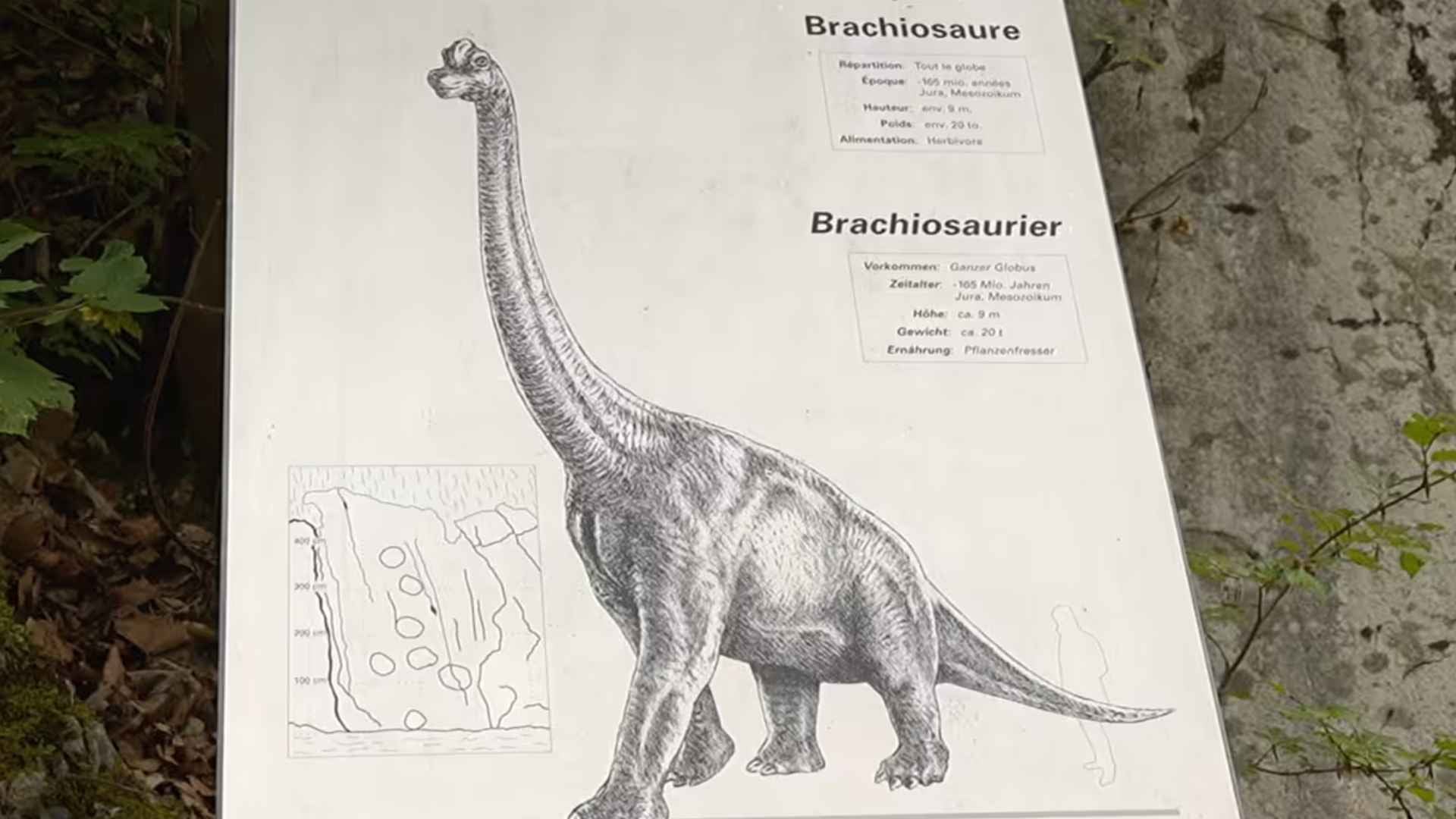 Auf den Spuren der Dinosaurier von La Heutte