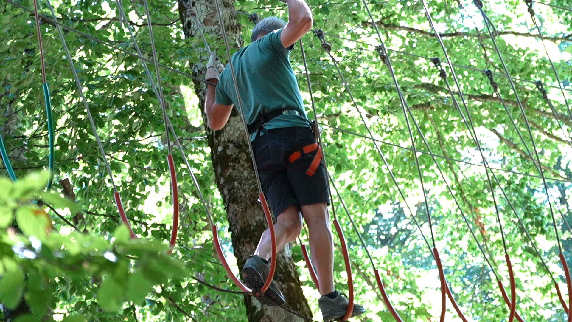 Hoch hinaus im Wald von Prés-d’Orvin