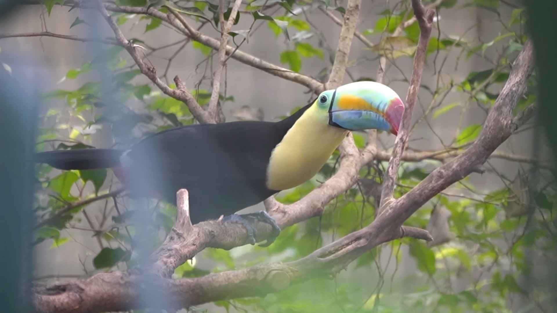 Une évasion qui donne des ailes au Papillorama